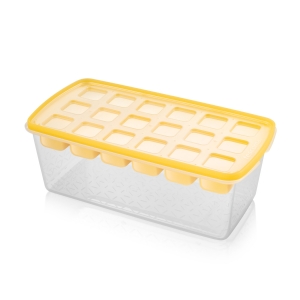 Ice mould with container myDRINK, cubes