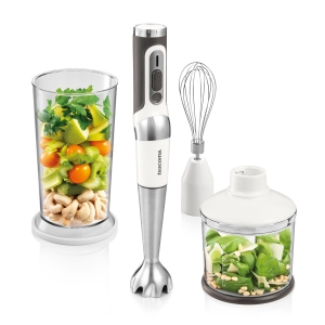 Cordless immersion blender GrandCHEF, with accessories